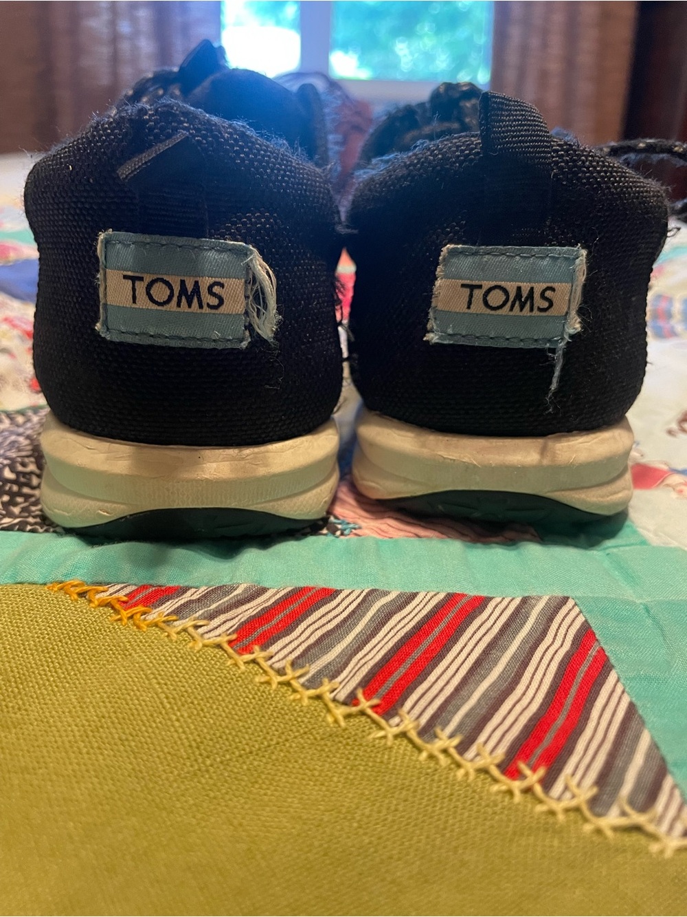 Toms Black Canvas Lace-Up Sneakers with White Soles - Picture 3 of 3